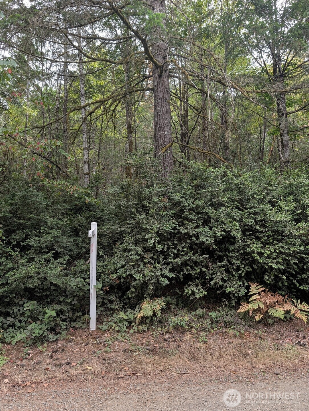 714 Webb Road Southwest Lakebay, WA 98349 - Photo 1 of 2 Gallery Image 1