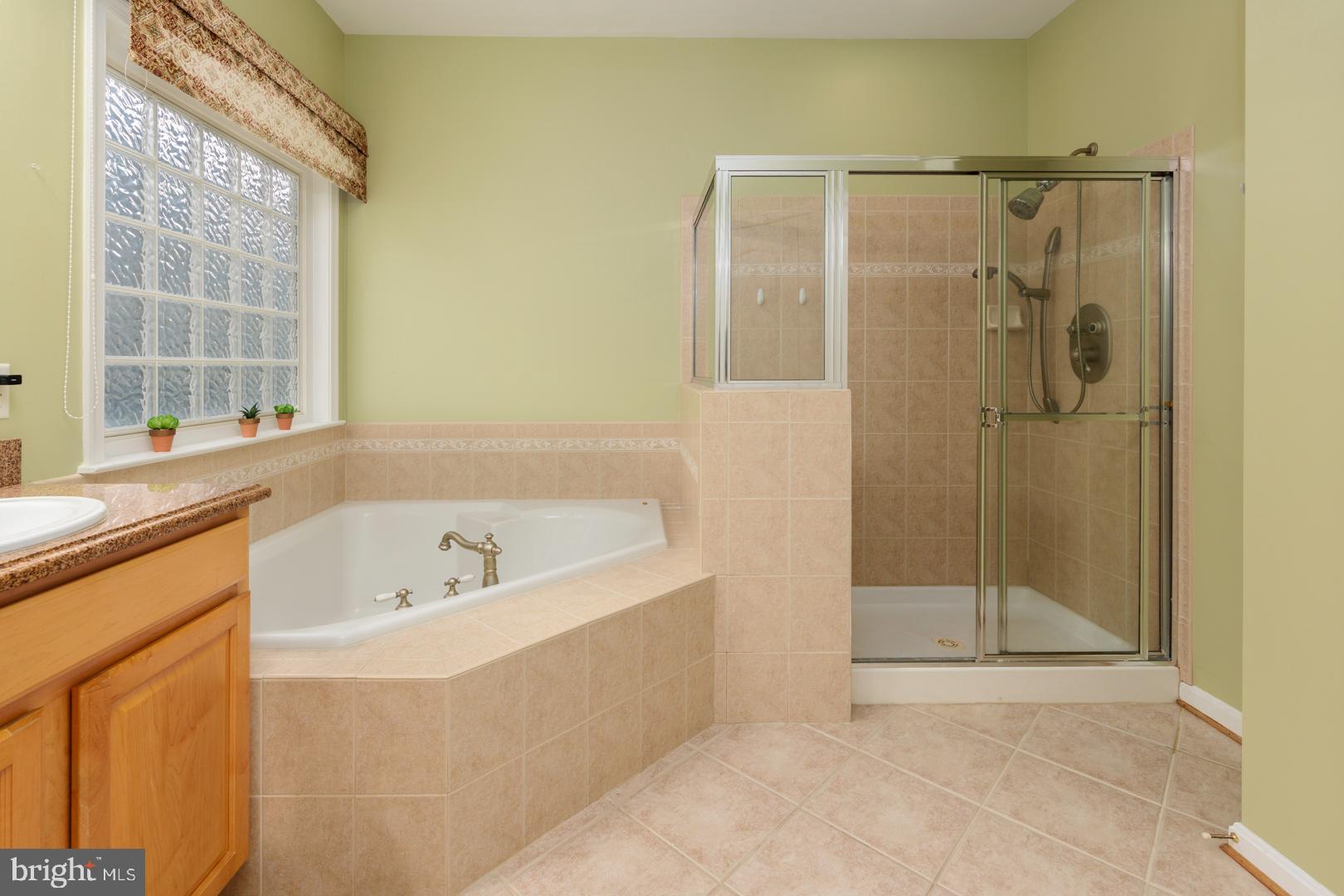 250 Concerto Avenue Centreville, MD 21617 - Photo 19 of 34 a bathroom with a bath tub and a shower