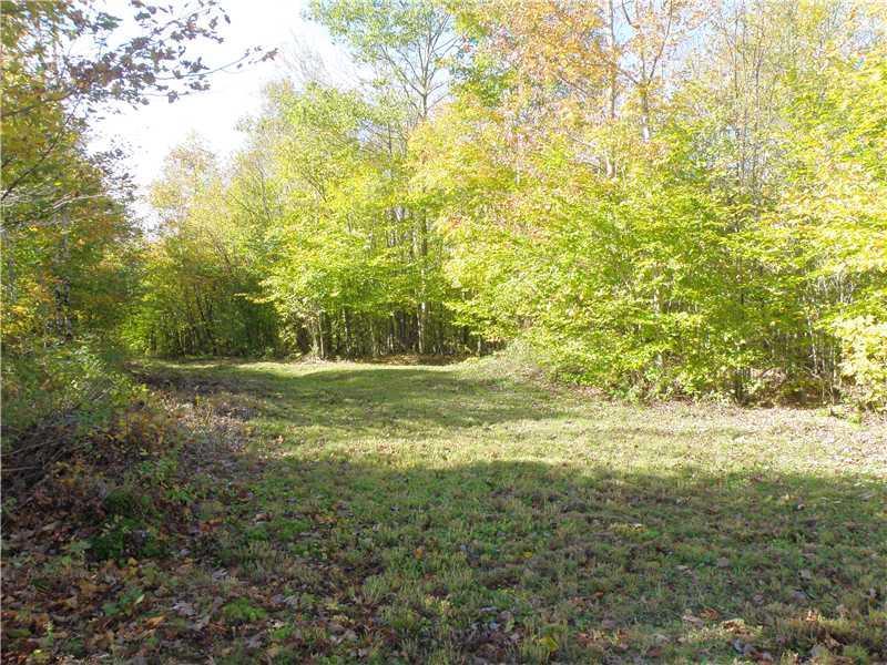 Lot 8 Warden Hill Road Springfield, ME 04487 - Photo 20 of 25 Land/Lot. Side lawn