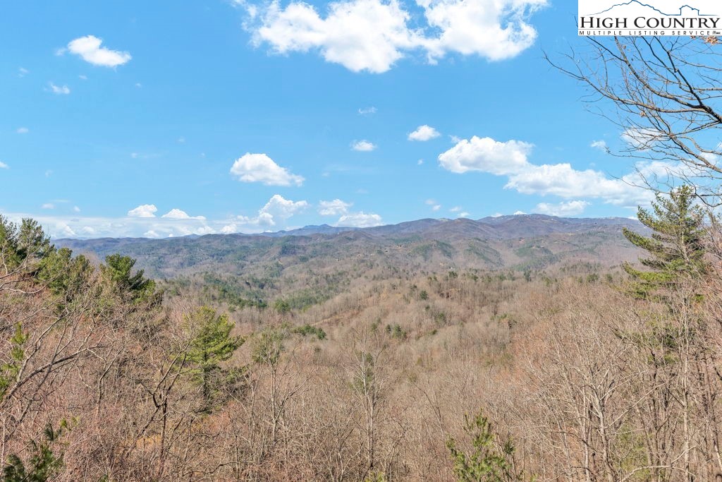 2095 Elk Ridge Road Ferguson, NC 28624 - Photo 11 of 34 a view of a big yard of the house