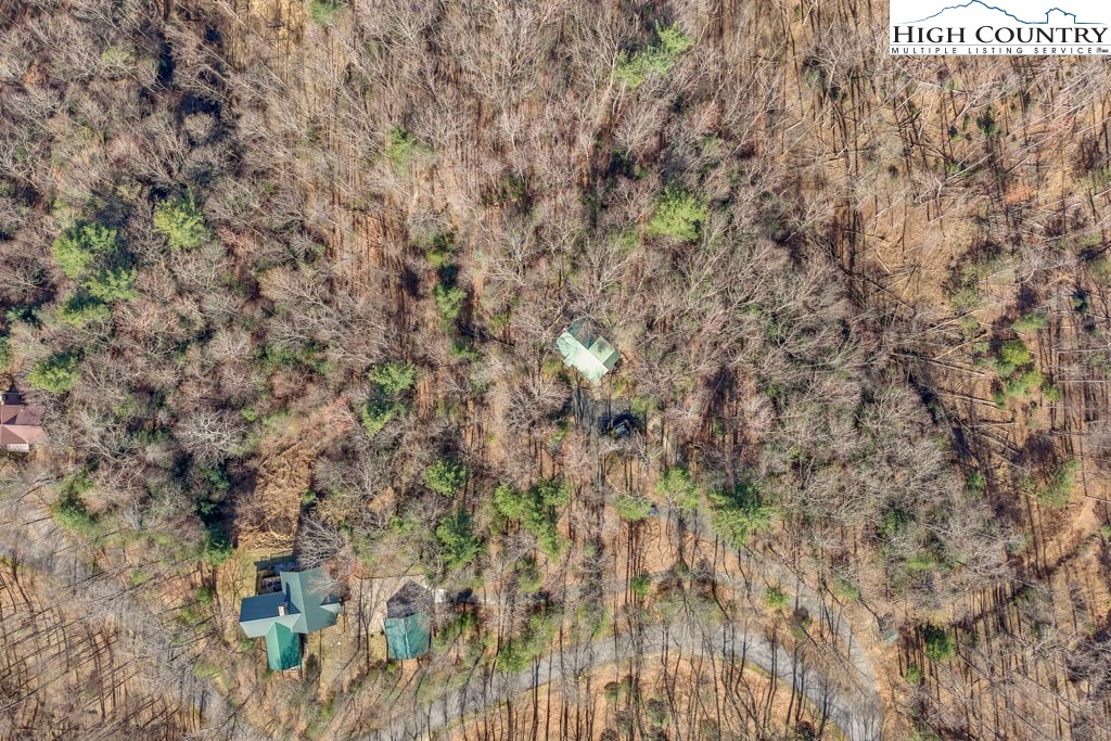 2095 Elk Ridge Road Ferguson, NC 28624 - Photo 34 of 34 a close up of a plant