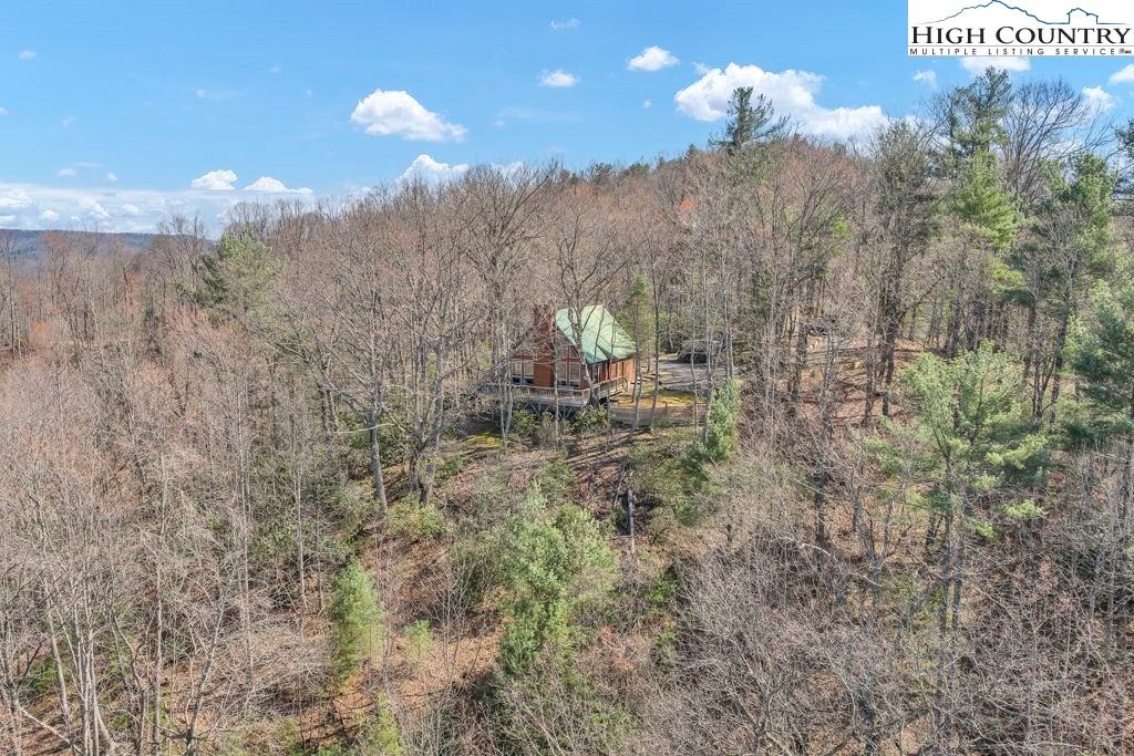 2095 Elk Ridge Road Ferguson, NC 28624 - Photo 7 of 34 a view of a city with lush green forest