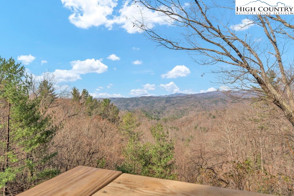 2095 Elk Ridge Road Ferguson, NC 28624 - Photo 9 of 34