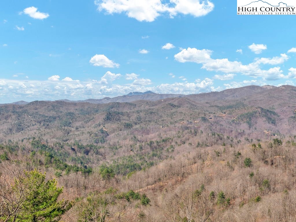 2095 Elk Ridge Road Ferguson, NC 28624 - Photo 10 of 34 a view of a dry yard