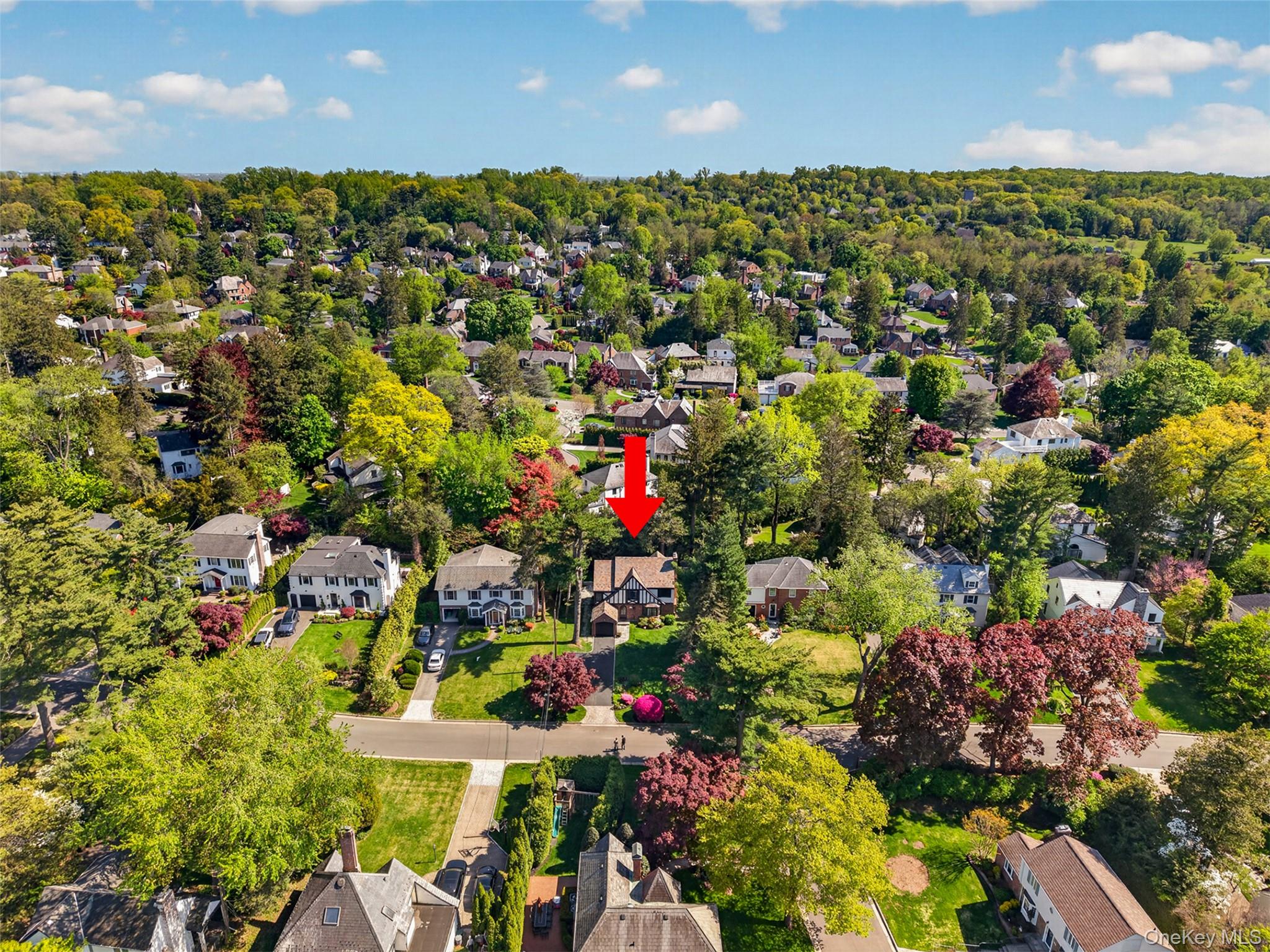 102 Quaker Ridge Road Manhasset, NY 11030 - Photo 22 of 25