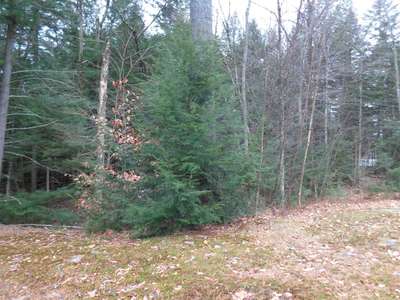 L/o Robie Road Alexandria, NH 03222 - Photo 2 of 9