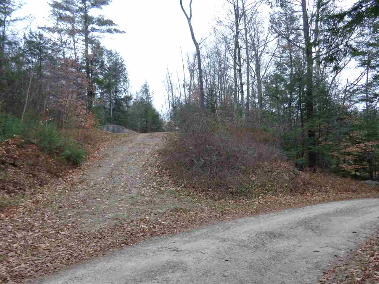 L/o Robie Road Alexandria, NH 03222 - Photo 5 of 9