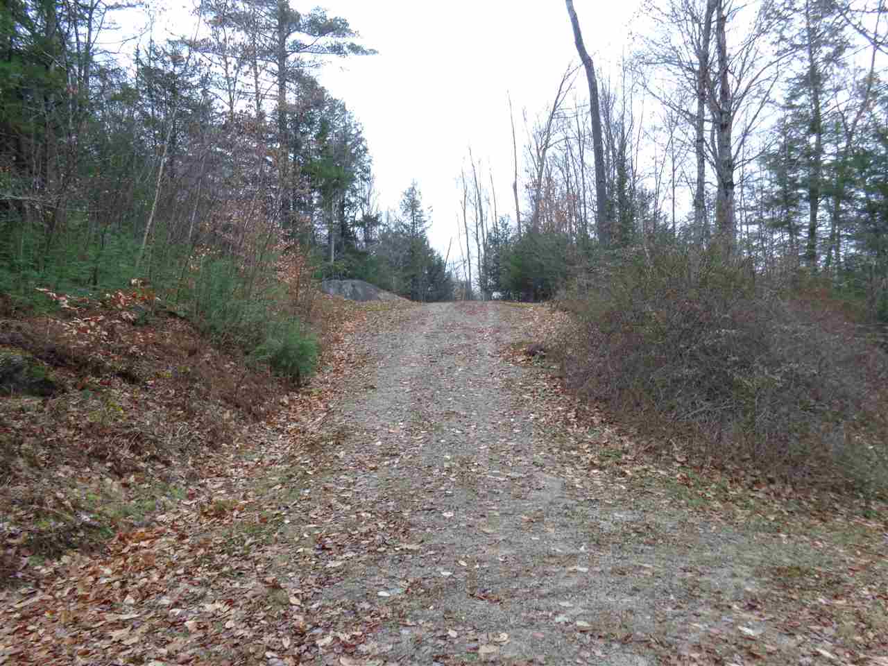 L/o Robie Road Alexandria, NH 03222 - Photo 6 of 9