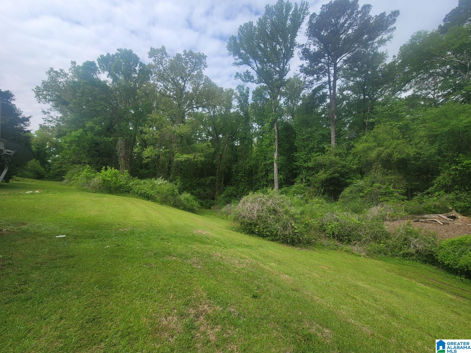 263 Reed Street Centreville, AL 35042 - Photo 26 of 30
