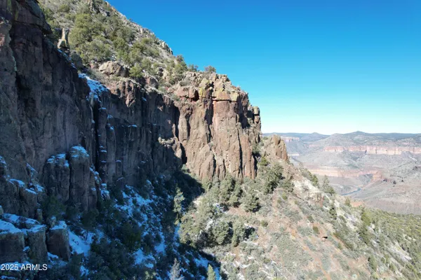a view of a dry yard