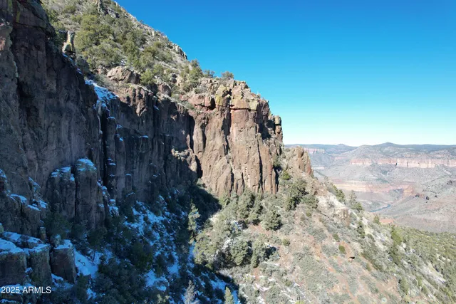a view of a dry yard