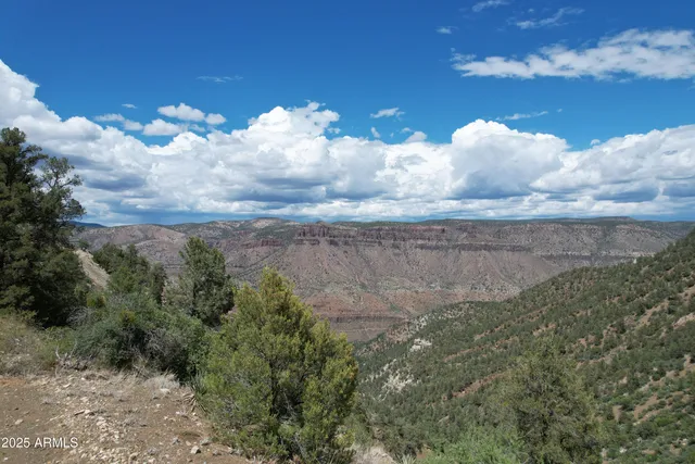 a view of a dry yard