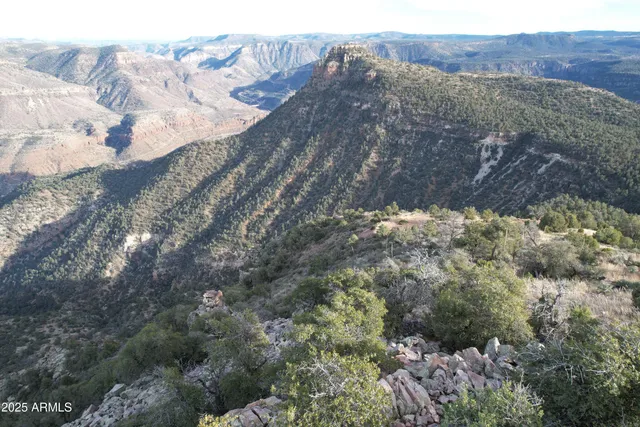 a view of a house with a mountain and a forest