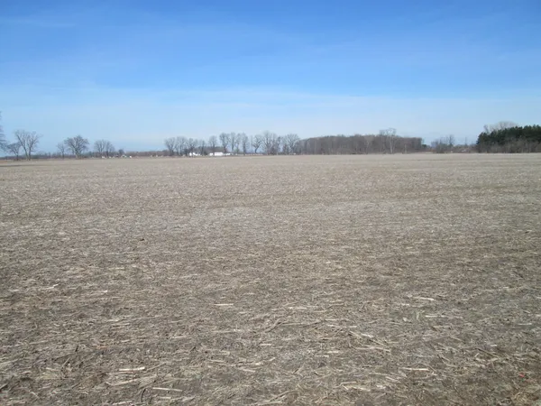 $205,000 | V/l West Lemon Creek Road, Unit 2, Baroda, MI 49101