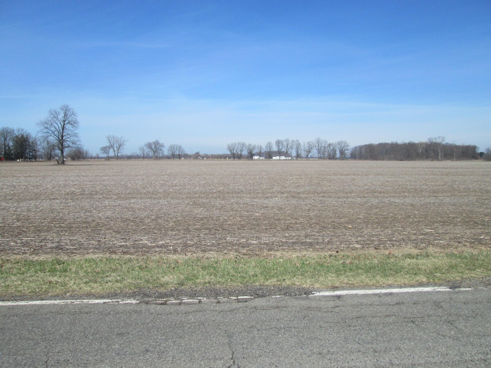 V/l West Lemon Creek Road, Unit 2 Baroda, MI 49101 - Photo 2 of 7 IMG_6043