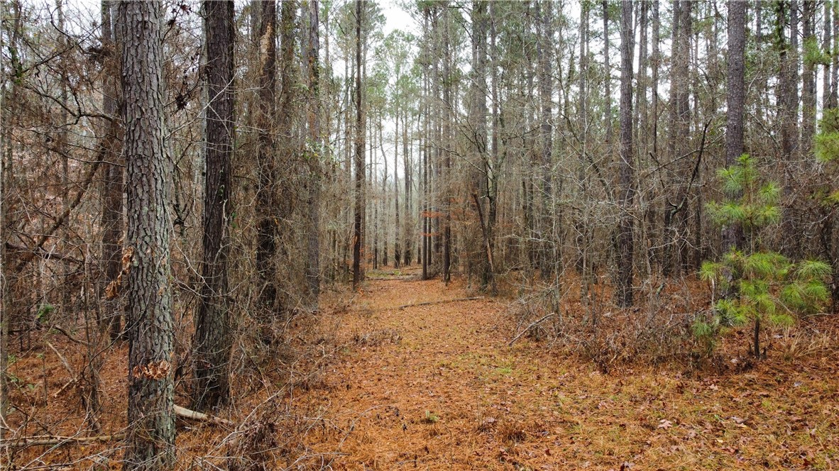 0 Chappells Highway Chappells, SC 29037 - Photo 2 of 5