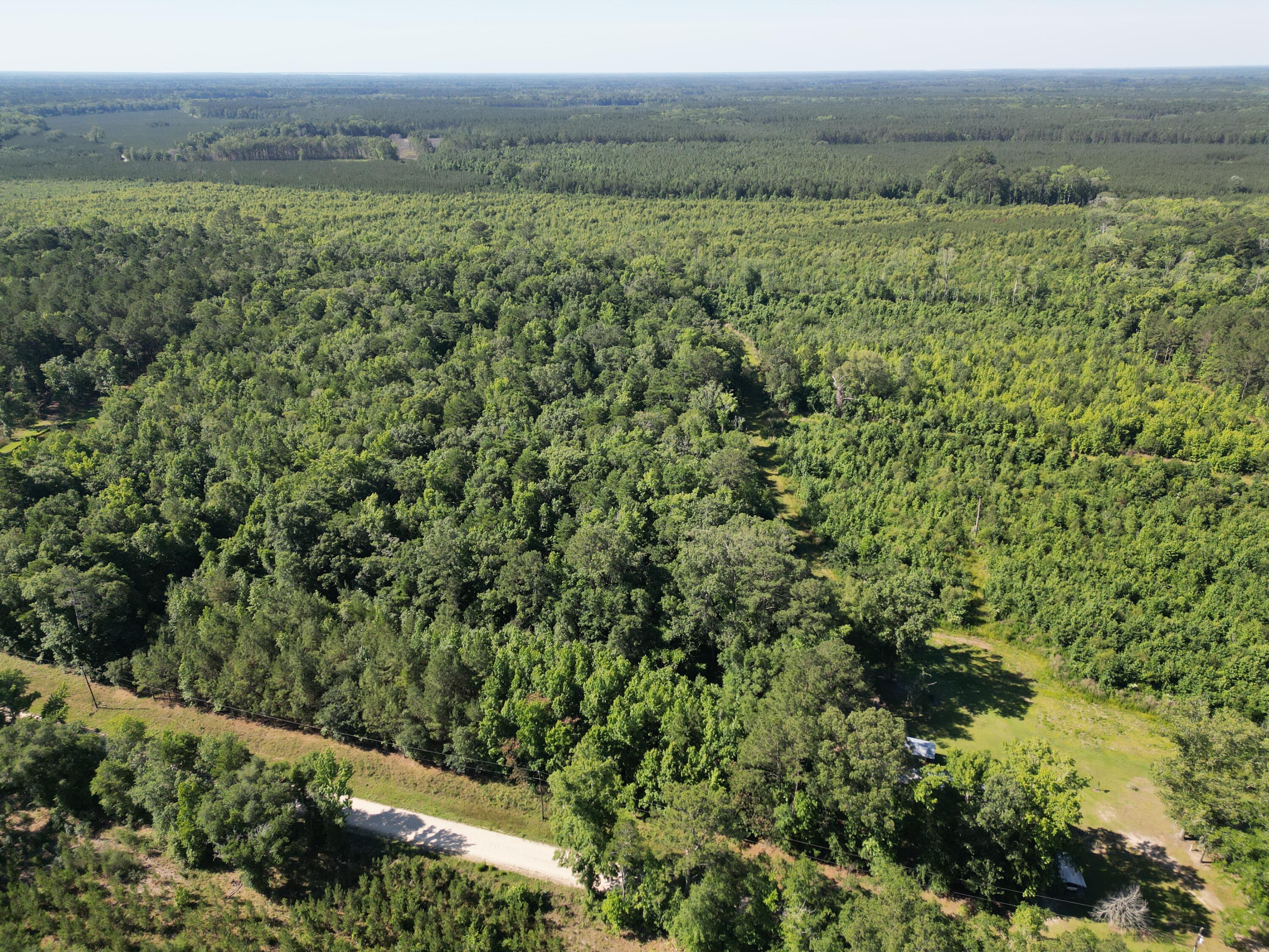 0 Hyde Park Road Adams Run, SC 29426 - Photo 10 of 12 dji_fly_20260514_050916_162_178137493142