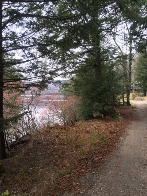 46 Normand Road, Unit LOT 46 Stark, NH 03582 - Photo 1 of 6
