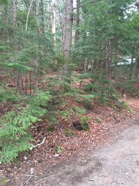 46 Normand Road, Unit LOT 46 Stark, NH 03582 - Photo 4 of 6