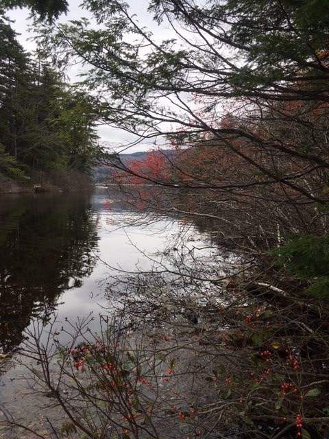 46 Normand Road, Unit LOT 46 Stark, NH 03582 - Photo 5 of 6