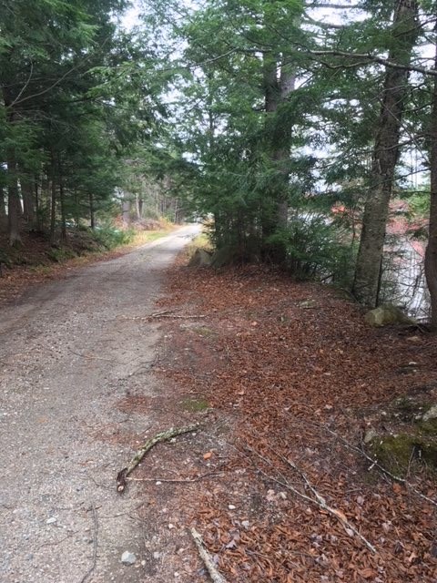46 Normand Road, Unit LOT 46 Stark, NH 03582 - Photo 6 of 6