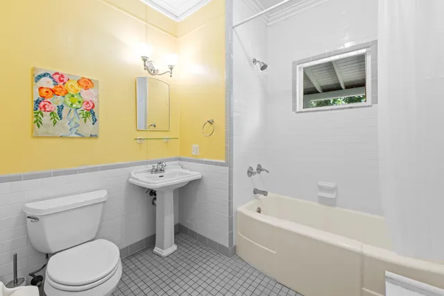 a view of a yard with plants and a fountain