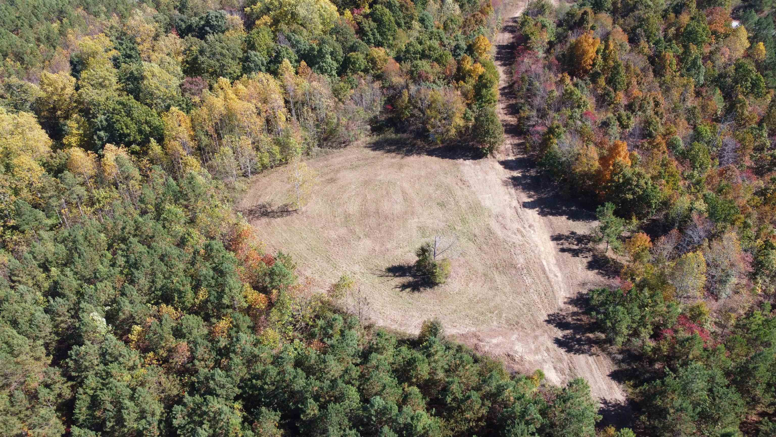 Tract 2 White Oak Road Stewart, TN 37175 - Photo 6 of 31 Photo 6