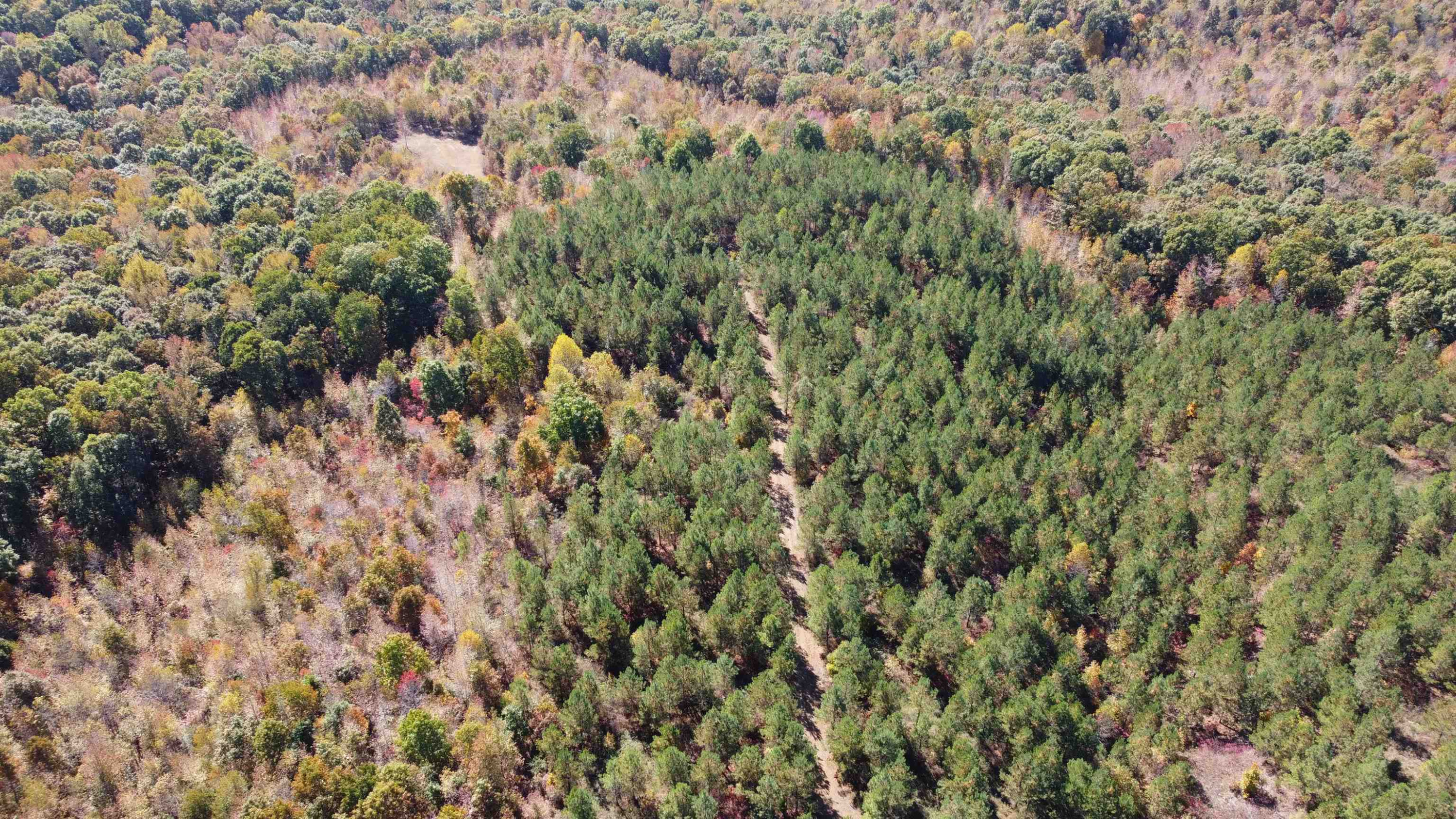 Tract 2 White Oak Road Stewart, TN 37175 - Photo 8 of 31 Photo 8