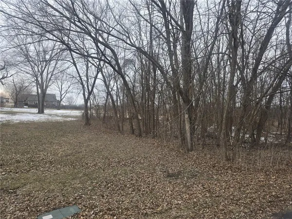$30,000 | North Washington Street, East Lynne, MO 64743