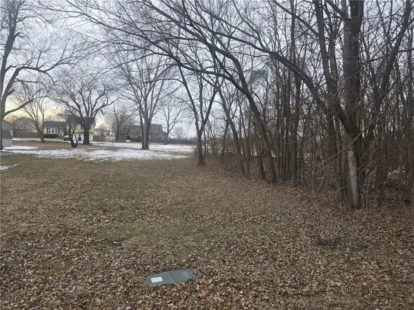 $30,000 | North Washington Street, East Lynne, MO 64743