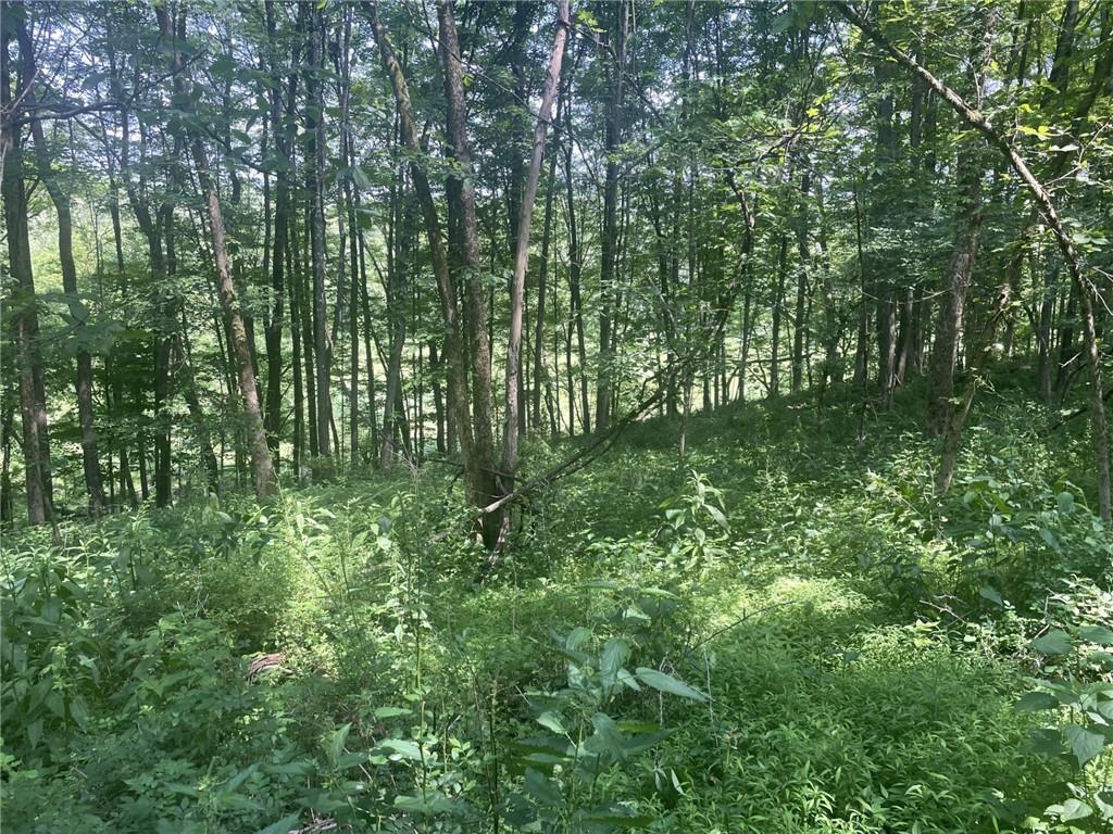 Lot 2 Reibold Road Renfrew, PA 16053 - Photo 3 of 4