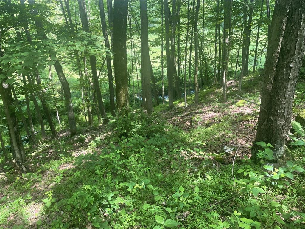 Lot 2 Reibold Road Renfrew, PA 16053 - Photo 4 of 4