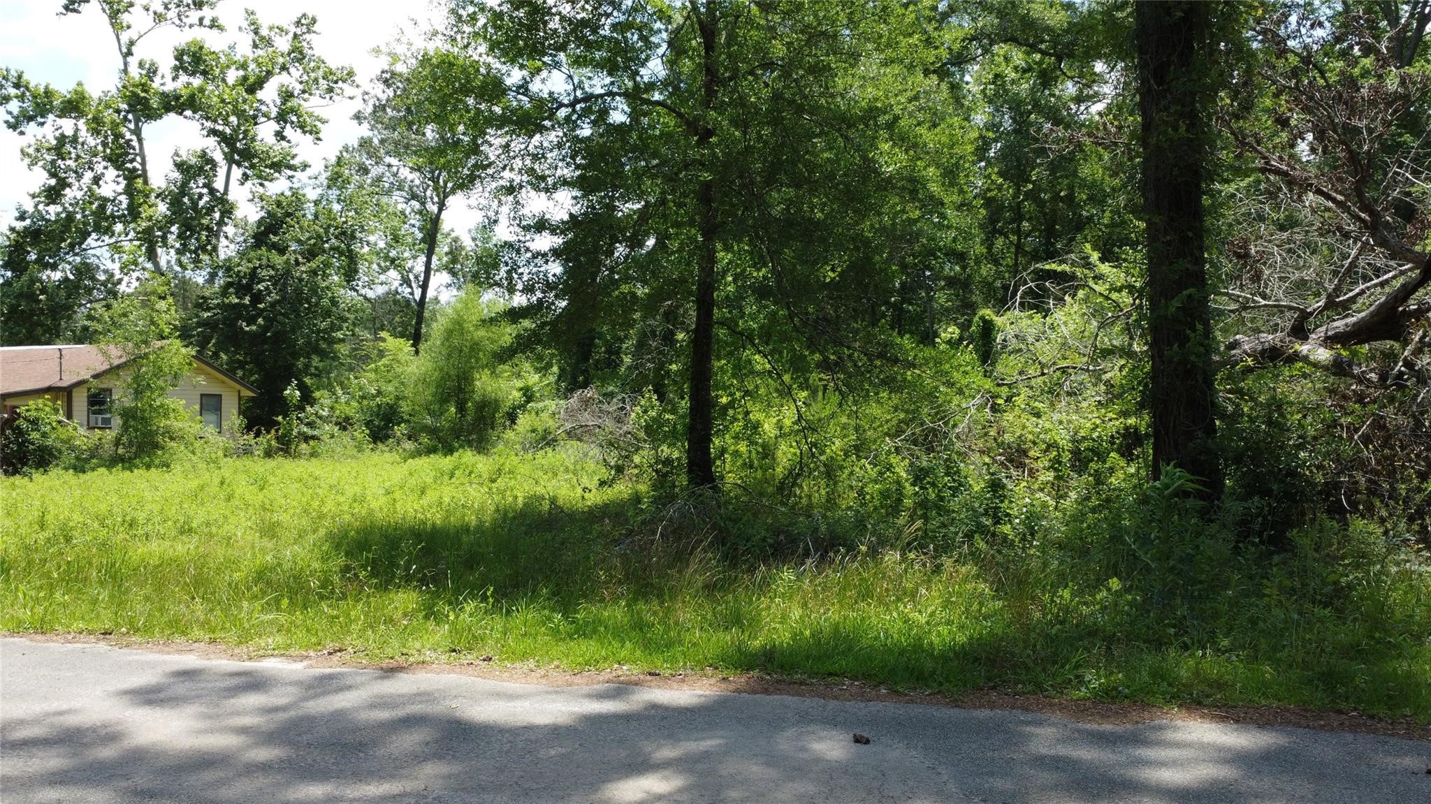 0 Seven X Splendora, TX 77372 - Photo 2 of 3 a view of backyard