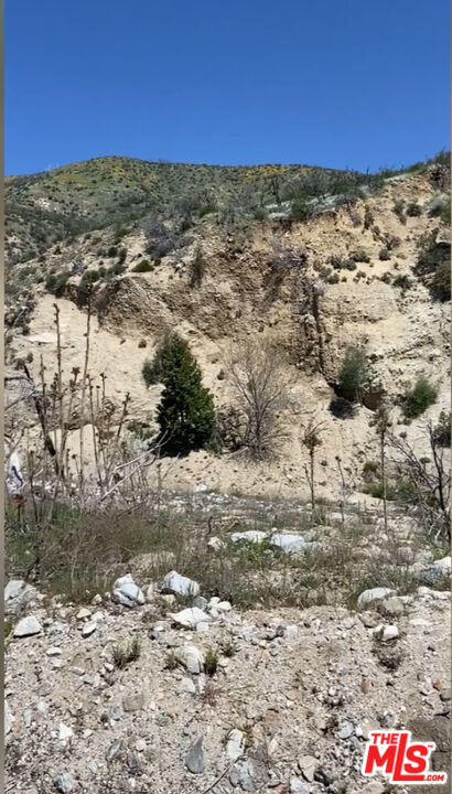 0 Pine Canyon Road Lake Hughes, CA 93532 - Photo 2 of 4
