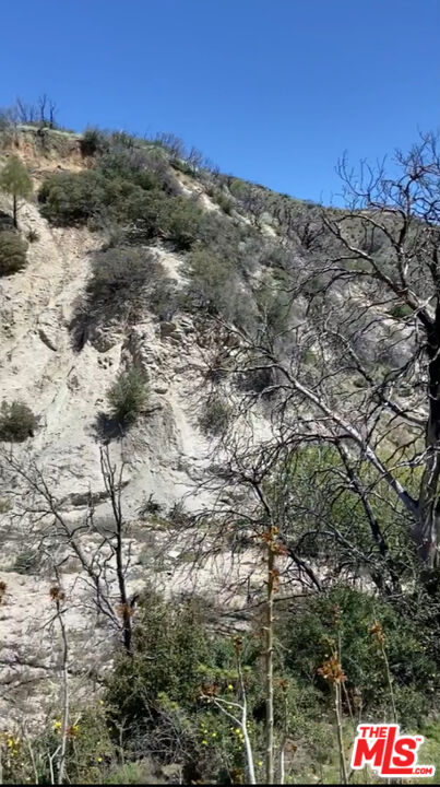 0 Pine Canyon Road Lake Hughes, CA 93532 - Photo 3 of 4