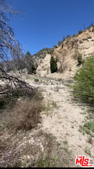 0 Pine Canyon Road Lake Hughes, CA 93532 - Photo 4 of 4