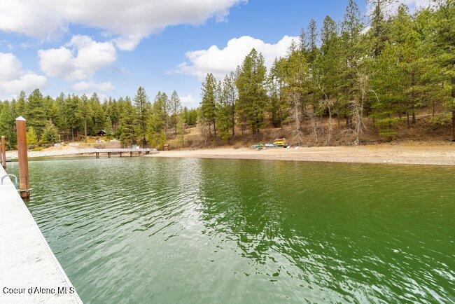 13534 South Ridgeview Drive Harrison, ID 83833 - Photo 50 of 70 052_carlin_bay-16_864