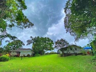 6220 Olohena Road Kapaa, HI 96746 - Photo 5 of 29 a view of a garden with a building in the background