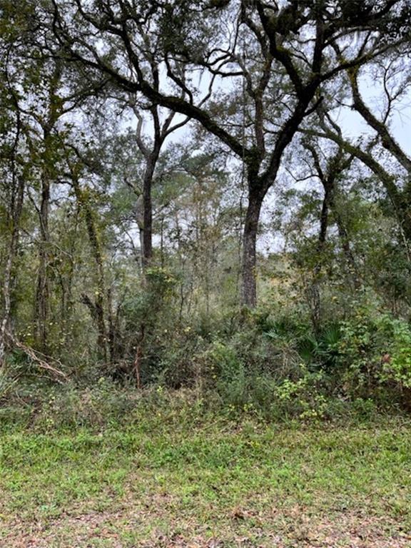 Table Rock Drive Webster, FL 33597 - Photo 1 of 1