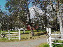 34553 Lodge Road Tollhouse, CA 93667 - Photo 1 of 1 Gallery Image 1