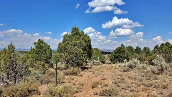 a view of a lake in middle of a city