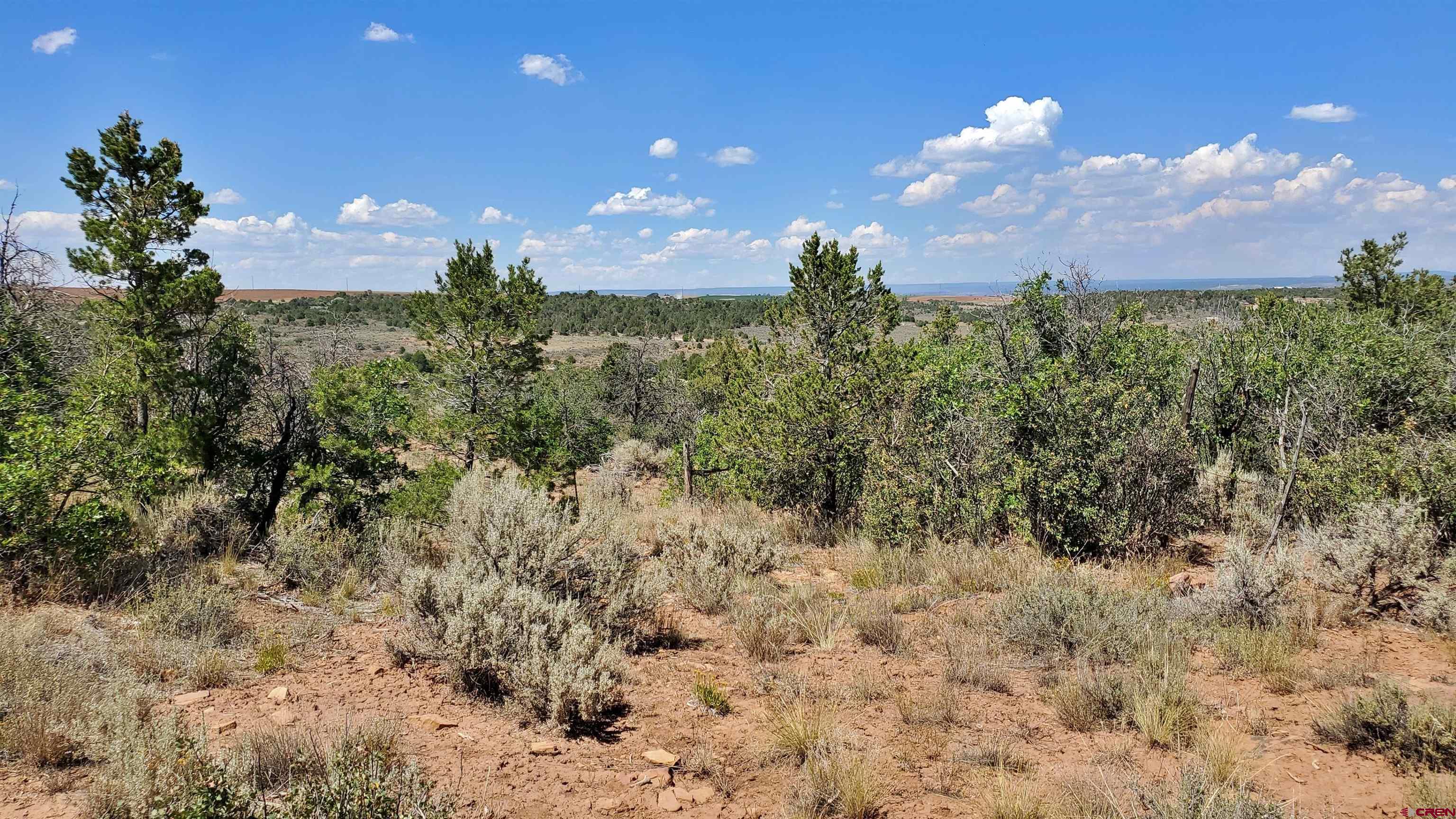 15.5 Yellow Jacket Co 81327 Yellow Jacket, CO 81335 - Photo 12 of 45 a view of a bunch of plants