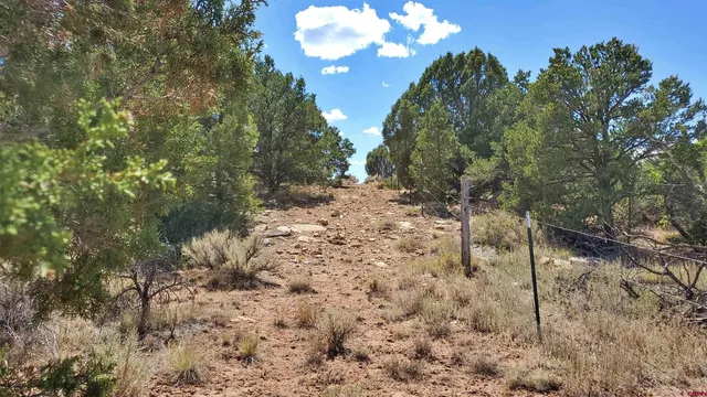 a view of a city and tree in the background