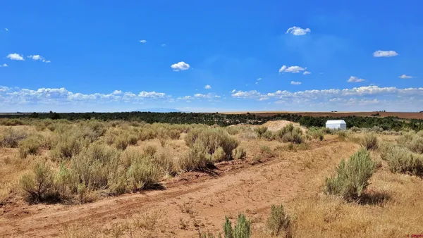 $120,000 | 15.5 Yellow Jacket Co 81327, Yellow Jacket, CO 81335