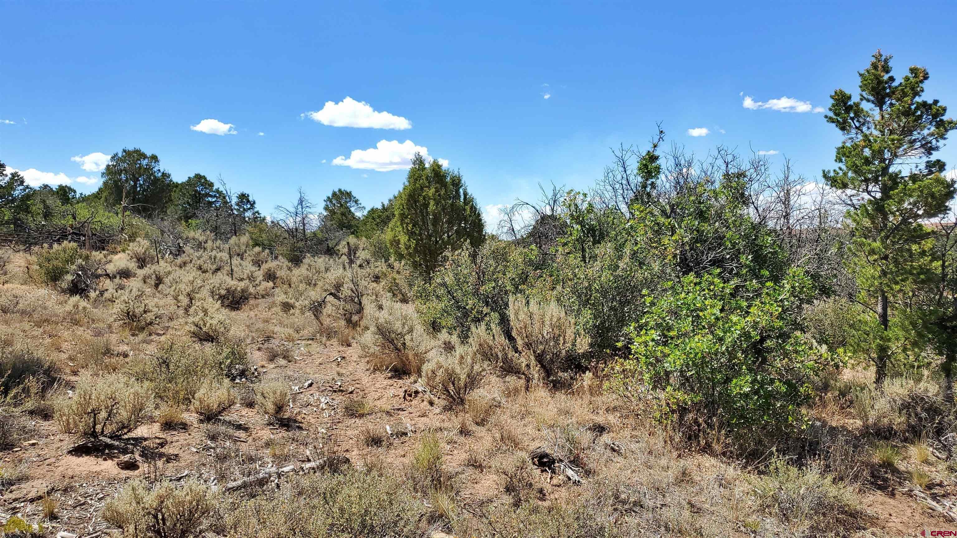 15.5 Yellow Jacket Co 81327 Yellow Jacket, CO 81335 - Photo 15 of 45 a view of a city and tree in the background