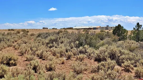 $120,000 | 15.5 Yellow Jacket Co 81327, Yellow Jacket, CO 81335