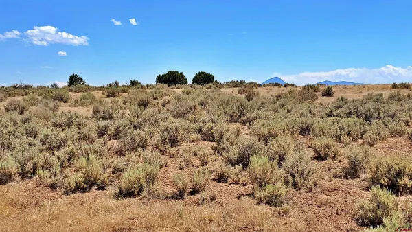 $120,000 | 15.5 Yellow Jacket Co 81327, Yellow Jacket, CO 81335