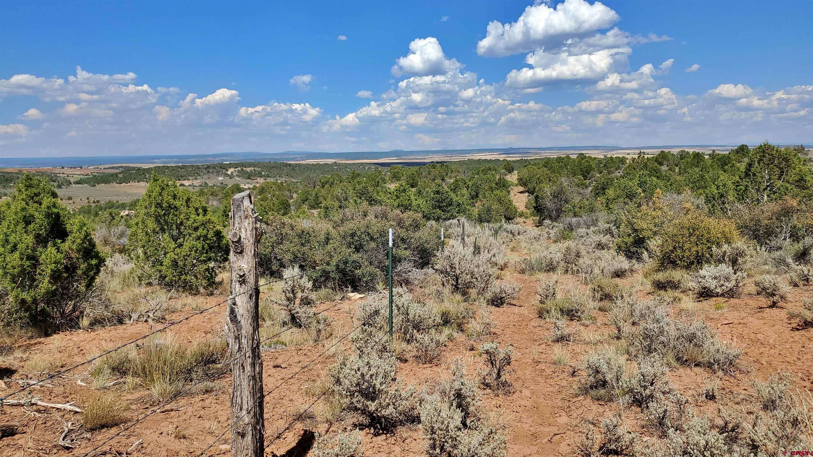15.5 Yellow Jacket Co 81327 Yellow Jacket, CO 81335 - Photo 17 of 45 a view of a lake