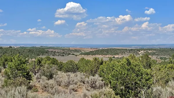 $120,000 | 15.5 Yellow Jacket Co 81327, Yellow Jacket, CO 81335