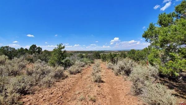 $120,000 | 15.5 Yellow Jacket Co 81327, Yellow Jacket, CO 81335